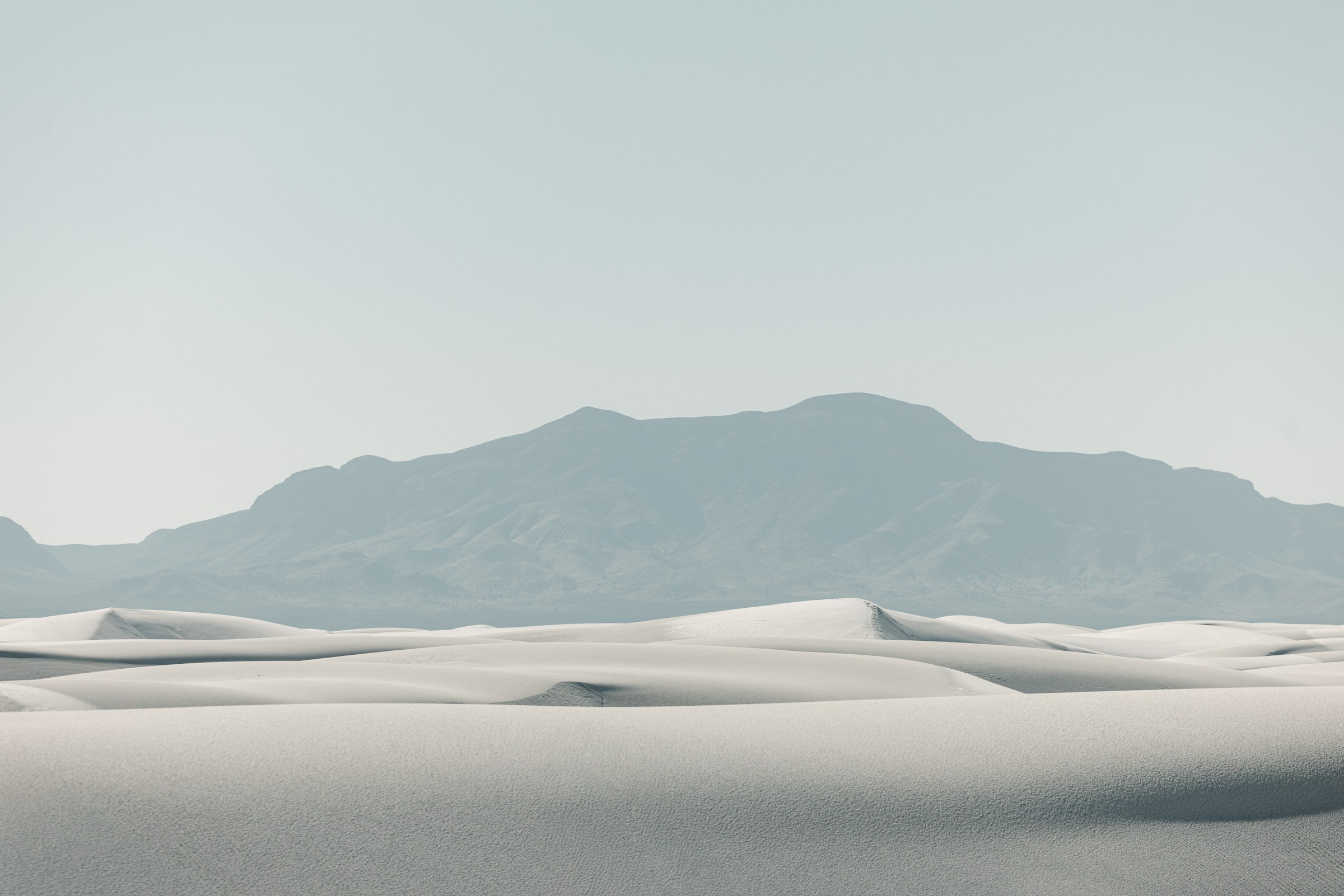 Scripture Feed Background